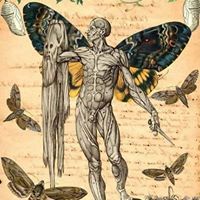 Господин Незнакомов