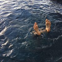 Kleanthis Leandro Gissakis