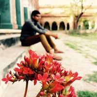 Shaghil Shahzad