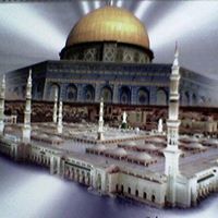 مجاهد الذنيبات