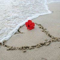 Anup N