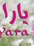 Yara Al...