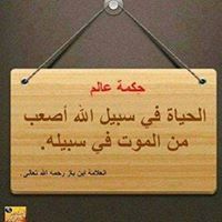 المهندس وليد