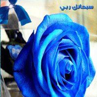 نهاد عبد العزيز