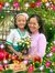 Hạnh Đo...
