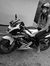 Rizky M...