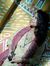 Deepty ...
