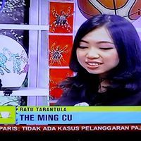 Ming Cu
