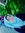 Ala'a Alqaise | 9 comments