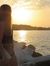 Agata S...