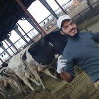 DR-Mohammed Moustafa