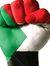 Ahmed W...
