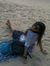 Aamena ...