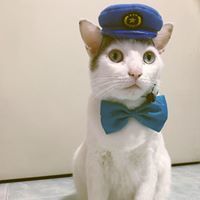 โอดี้ ลัคกี้