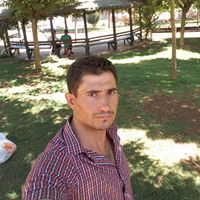 فايز المحمود