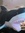 Book Shark (bookshark889) | 3 comments