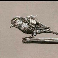 محمد تاج الدين