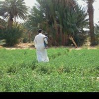 خالد المسعودي