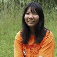 หมี ในทุกวัน