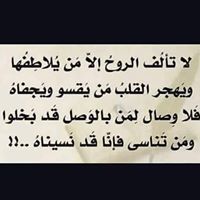 أبو يوسف