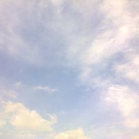 نعمه المصري