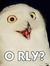 Orly Yu