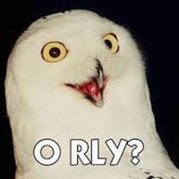 Orly Yu