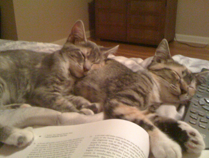 Goodreads profile picture for @hila
