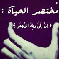 حسن الهنداوى