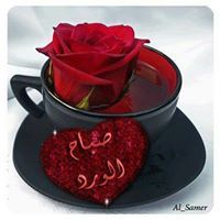 Abdu Algaili