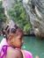 Faiza M...
