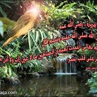 Om Mohanad