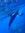 Saori M...