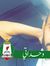 Ahmad Azoo