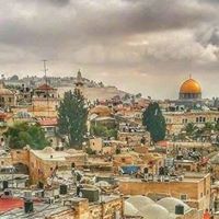 Mohamad Gohar