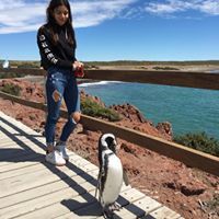 Francesca Torres Frini