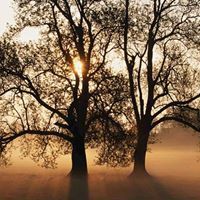 Adrian Pearson Berrick