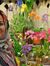 Kawther Aljasim