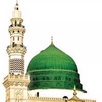 Shehzad Shuja
