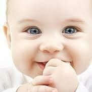 أحمد أبوالهدى