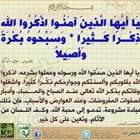 علاء الصغير