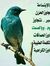 Abdalaz...