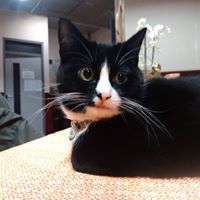 สังวรญ์ เทศนำ