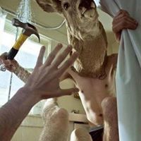 parker11223gmail.com