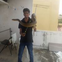 Arvinth Arivii