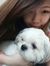 WanYing...