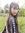 Baifern...
