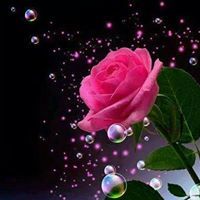 الأديب العربي