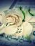 Noor Alw