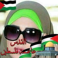 وردة البنفسجية